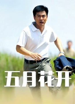 小狐狸破解